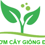 VƯỜN ƯƠM CÂY GIỐNG TỔNG HỢP ĐỒNG NAI